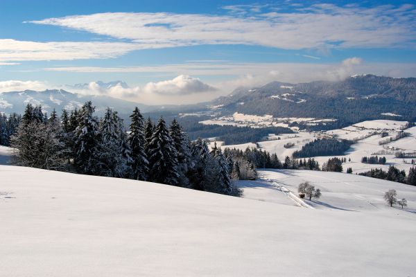 Wellnesshotel Linde (Sulzberg)